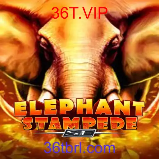 ElephantStampedeSE